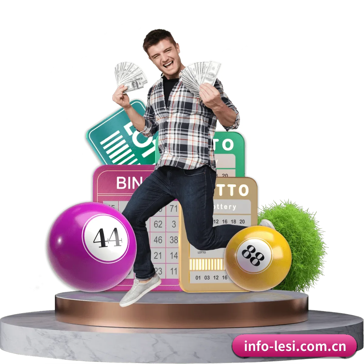 乐思中文网 APP 界面